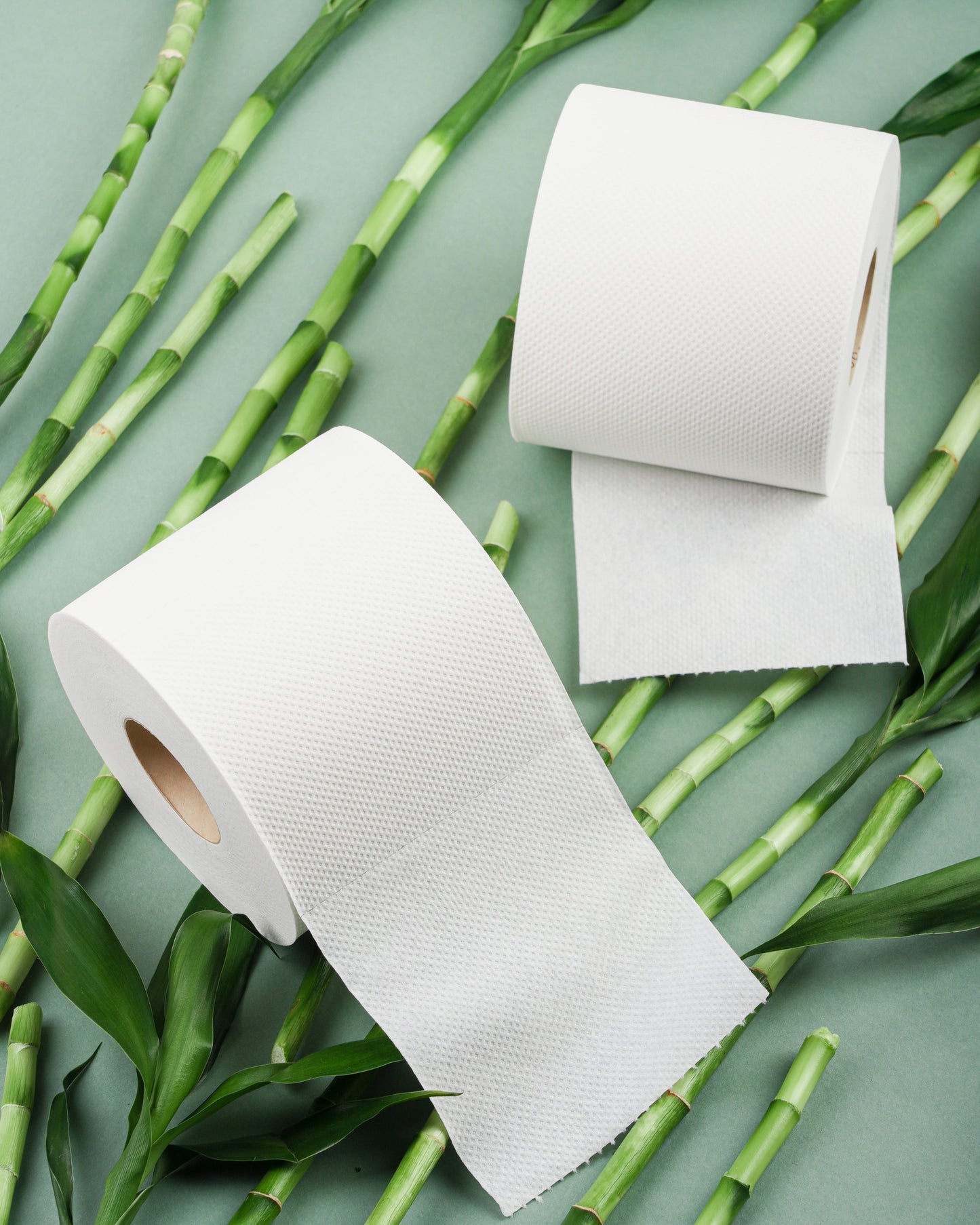 100% Bamboo Toilet Paper
