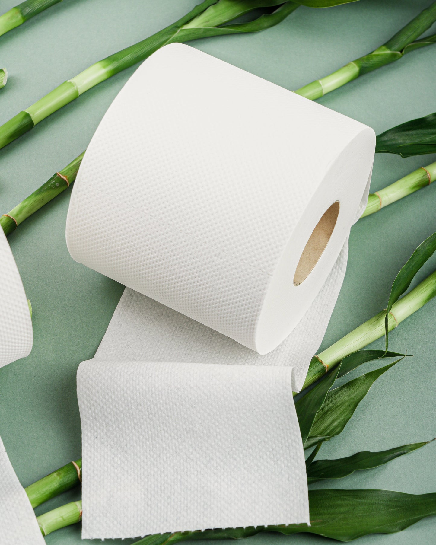 100% Bamboo Toilet Paper